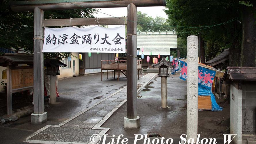 元住吉・井田神社へのお宮参りの出張撮影(2019年7月)